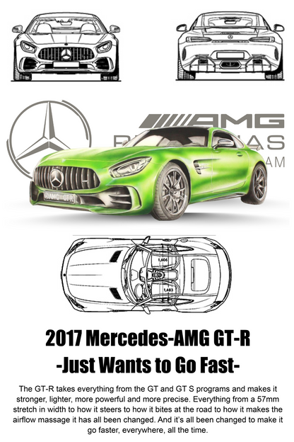 MERCEDES AMG GT-R